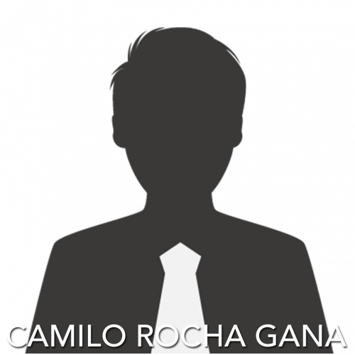 docente_camilo_rocha