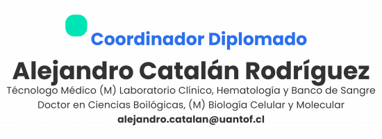 coordinadormolecular-05
